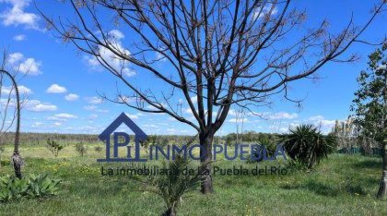 Huelva - Bollullos Par del Condado - 1468m2