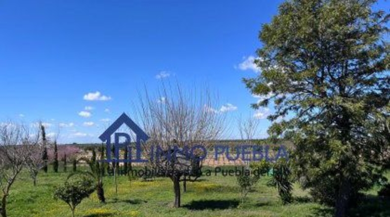 Huelva - Bollullos Par del Condado - 1468m2