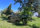 Chalet independiente con terreno en venta en la España, Bollullos Par del Condado, ref: TR252721 foto
