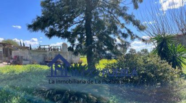 Huelva - Bollullos Par del Condado - 1468m2