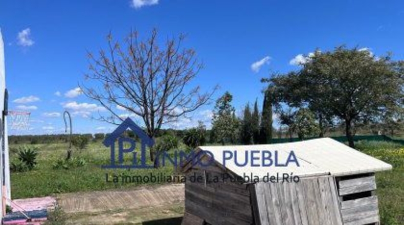 Huelva - Bollullos Par del Condado - 1468m2
