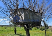 Chalet independiente con terreno en venta en la España, Bollullos Par del Condado, ref: TR252721 foto