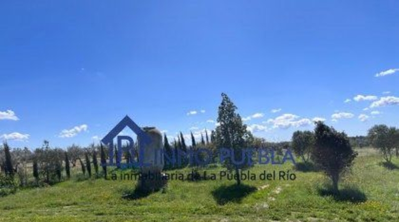 Huelva - Bollullos Par del Condado - 1468m2