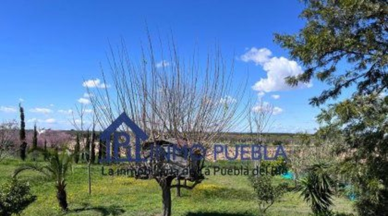 Huelva - Bollullos Par del Condado - 1468m2