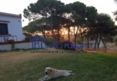 Finca rústica en venta en La Puebla del Río ref: TR305357 foto