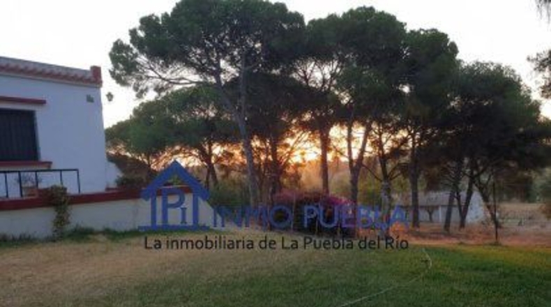 Sevilla - La Puebla del Río - 223m2