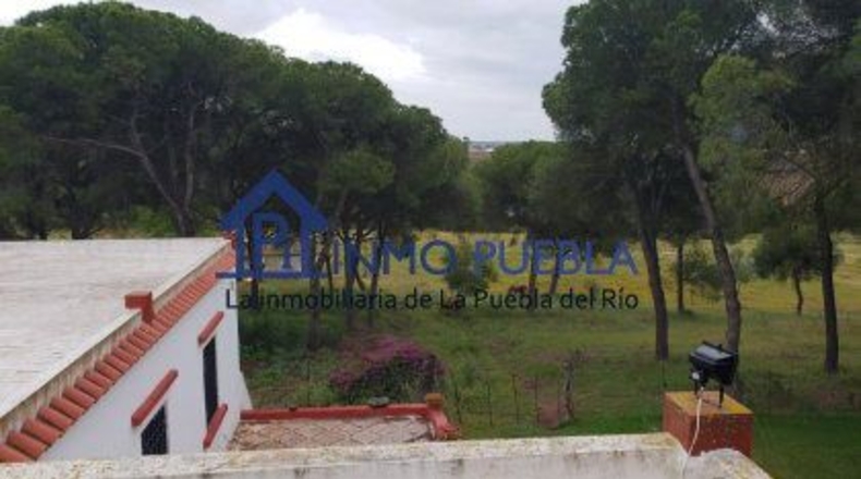 Sevilla - La Puebla del Río - 223m2