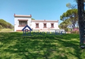 Finca rústica en venta en La Puebla del Río ref: TR305357 foto