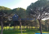 Finca rústica en venta en La Puebla del Río ref: TR305357 foto