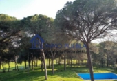 Finca rústica en venta en La Puebla del Río ref: TR305357 foto