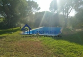 Finca rústica en venta en La Puebla del Río ref: TR305357 foto