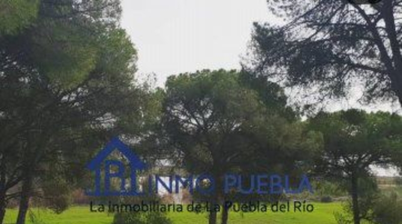 Sevilla - La Puebla del Río - 223m2