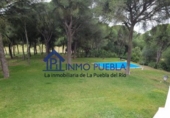 Finca rústica en venta en La Puebla del Río ref: TR305357 foto