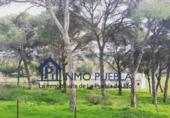 Finca rústica en venta en La Puebla del Río ref: TR305357 foto