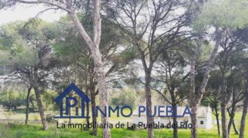 Sevilla - La Puebla del Río - 223m2