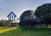 Finca rústica en venta en La Puebla del Río ref: TR305357 foto
