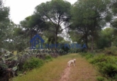 Finca rústica en venta en La Puebla del Río ref: TR305357 foto