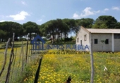 Finca rústica en venta en La Puebla del Río ref: TR305357 foto