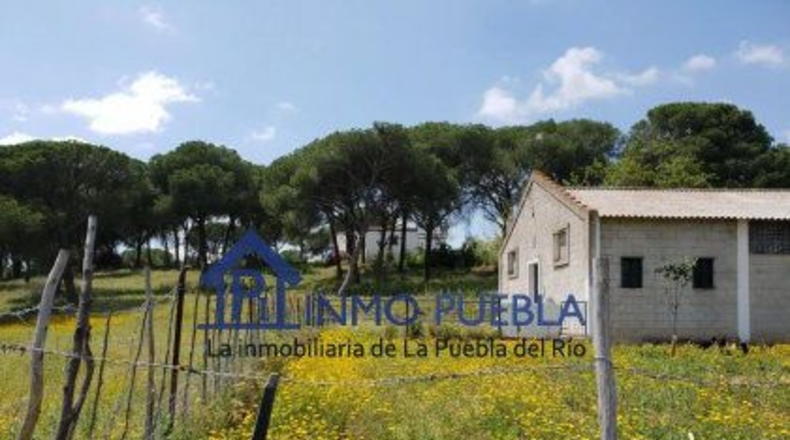 Sevilla - La Puebla del Río - 223m2