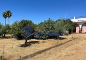Chalet independiente con terreno en venta en Coria del Río ref: TR322376 foto