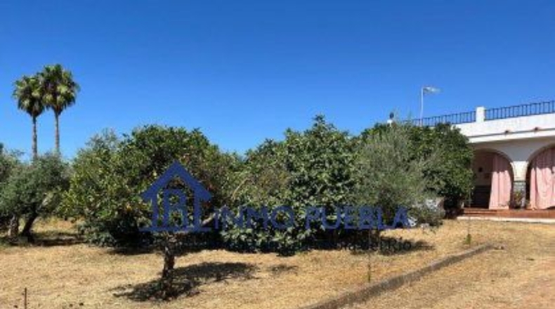 Sevilla - Coria del Río - 2500m2