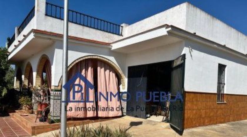 Sevilla - Coria del Río - 2500m2