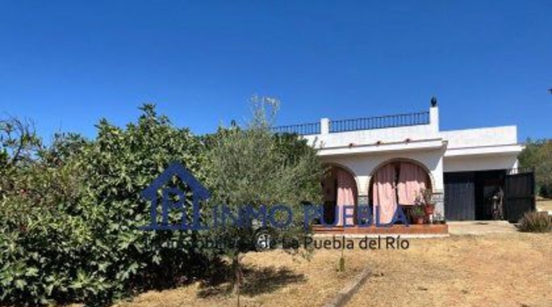 Sevilla - Coria del Río - 2500m2