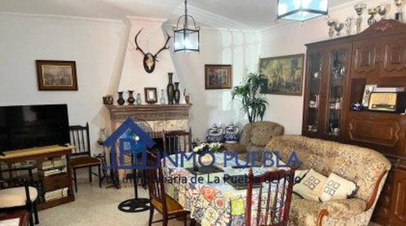 Sevilla - Coria del Río - 2500m2