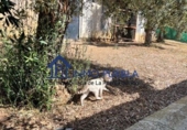 Chalet independiente con terreno en venta en Coria del Río ref: TR322376 foto