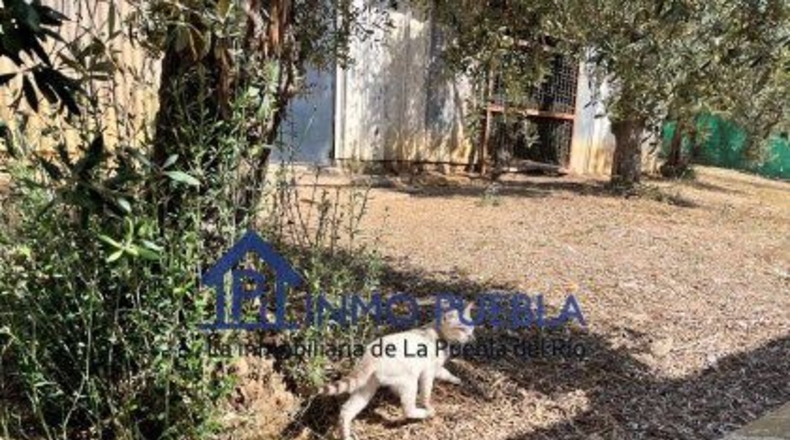 Sevilla - Coria del Río - 2500m2