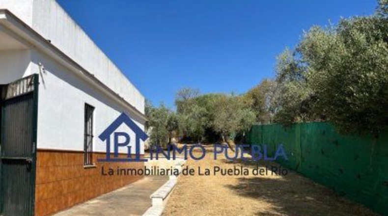 Sevilla - Coria del Río - 2500m2