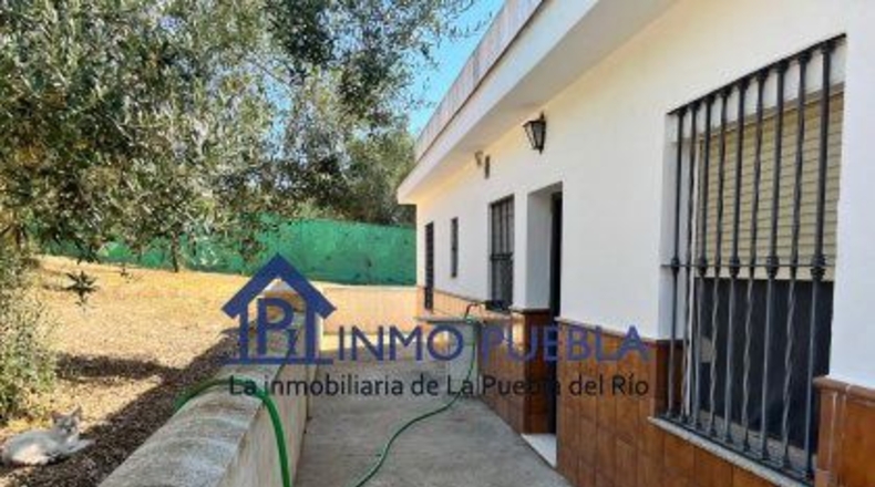 Sevilla - Coria del Río - 2500m2