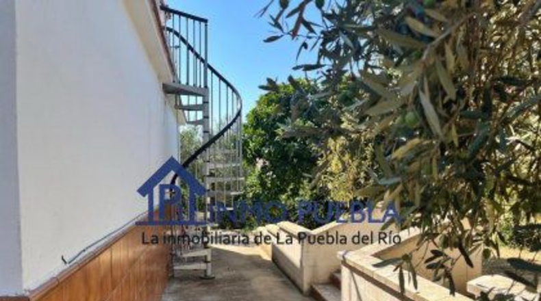 Sevilla - Coria del Río - 2500m2