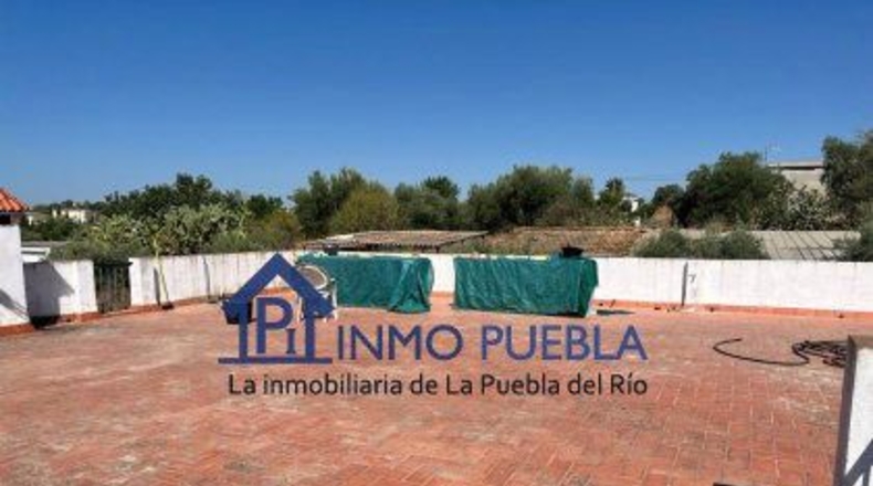 Sevilla - Coria del Río - 2500m2