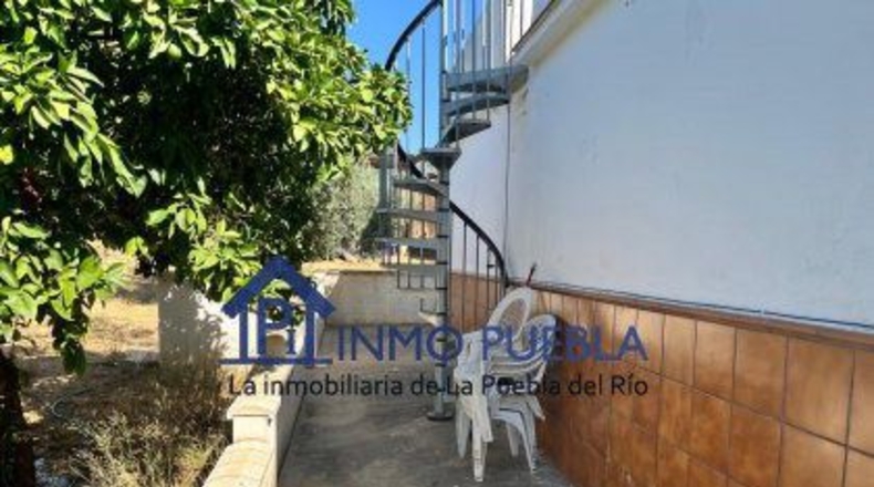 Sevilla - Coria del Río - 2500m2