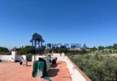 Chalet independiente con terreno en venta en Coria del Río ref: TR322376 foto