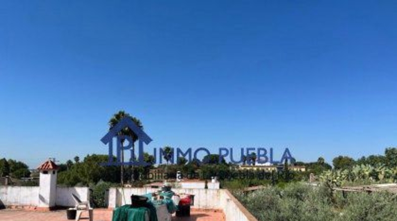 Sevilla - Coria del Río - 2500m2