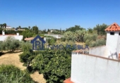 Chalet independiente con terreno en venta en Coria del Río ref: TR322376 foto