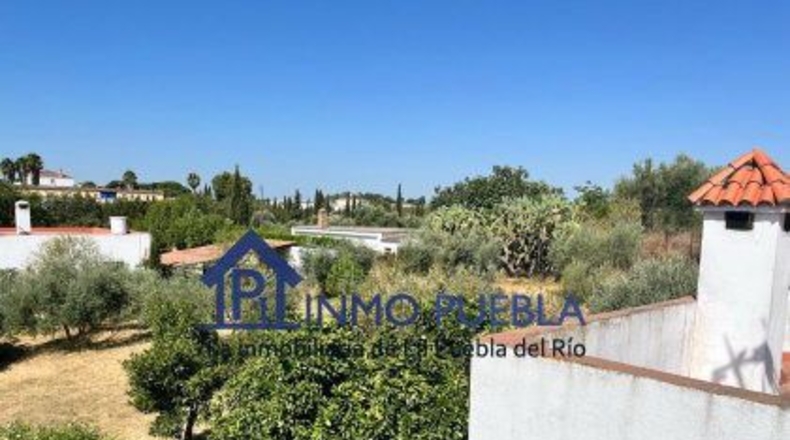 Sevilla - Coria del Río - 2500m2