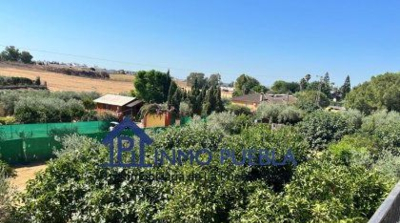 Sevilla - Coria del Río - 2500m2
