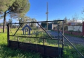 Terreno no urbanizable en venta en La Puebla del Río ref: TR252722 foto
