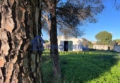 Terreno no urbanizable en venta en La Puebla del Río ref: TR252722 foto