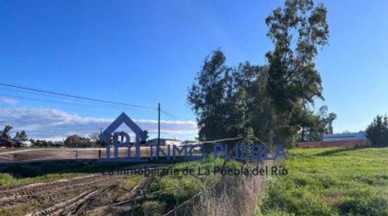 Sevilla - La Puebla del Río - 11000m2