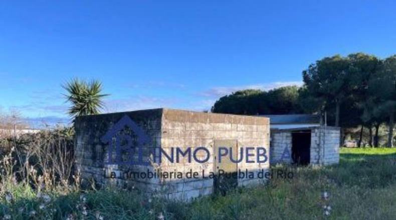 Sevilla - La Puebla del Río - 11000m2