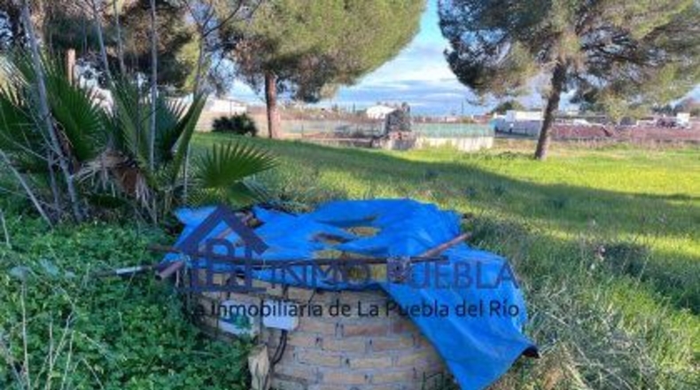 Sevilla - La Puebla del Río - 11000m2