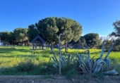 Terreno no urbanizable en venta en La Puebla del Río ref: TR252722 foto