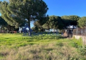 Terreno no urbanizable en venta en La Puebla del Río ref: TR252722 foto