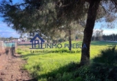 Terreno no urbanizable en venta en La Puebla del Río ref: TR252722 foto