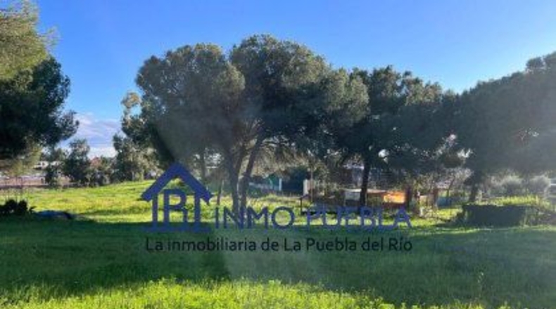 Sevilla - La Puebla del Río - 11000m2