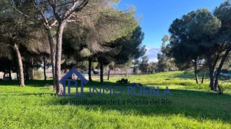 Sevilla - La Puebla del Río - 11000m2